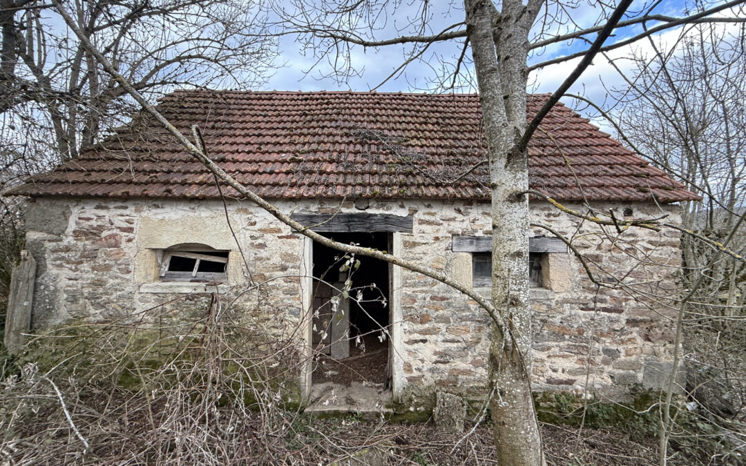 BUSSES – Cochonnier  20 m² – 1 pièce